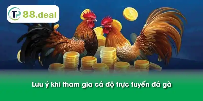 Lưu ý khi tham gia cá độ trực tuyến đá gà