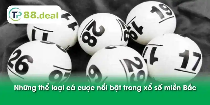 Những thể loại cá cược nổi bật trong xổ số miền Bắc